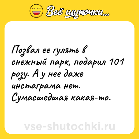Шутка: Позвал ее гулять в снежный парк, подарил 101 розу. А у нее даже инстаграма нет. Сумасшедшая какая-то.
