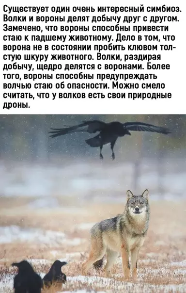 Смешная картинка №513047 Это интересно