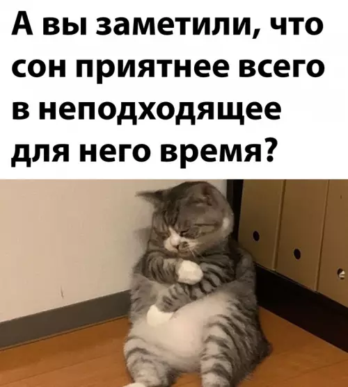 Смешная картинка №656957