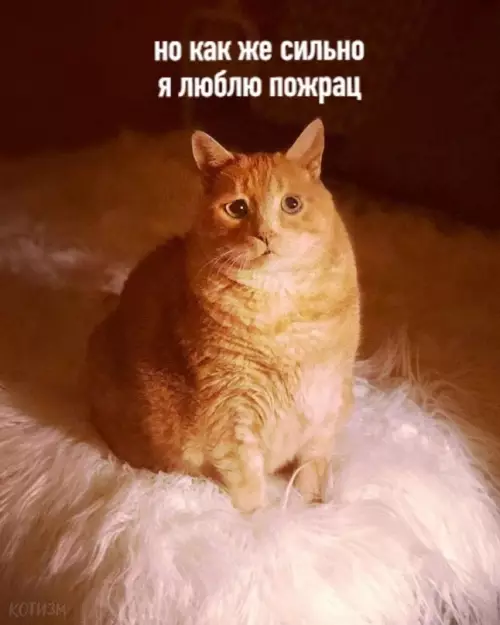 продолжение Смешная картинка №599492