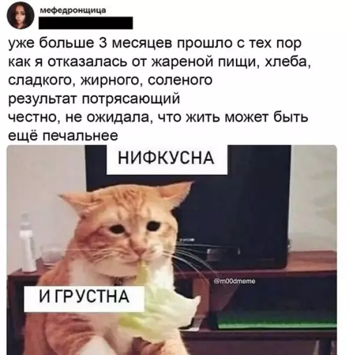 Смешная картинка №515378