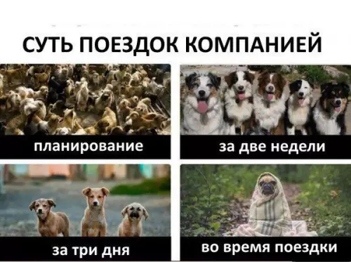 Смешная картинка №414319 И так всегда