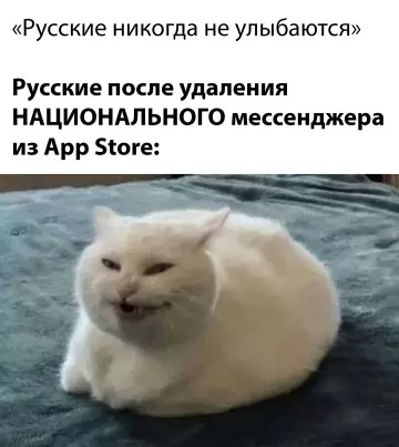 Почему мы не улыбаемся? 😂 - Русские никогда не улыбаются. Русские после удаления НАЦИОНАЛЬНОГО мессенджера из