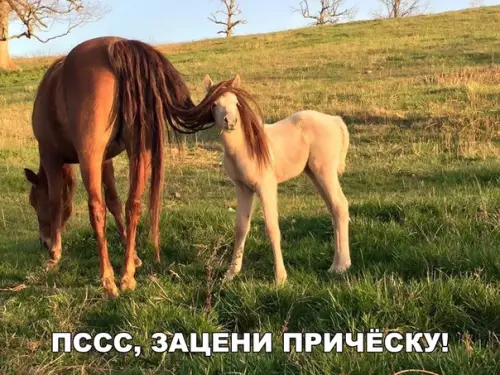 Смешная картинка №283878