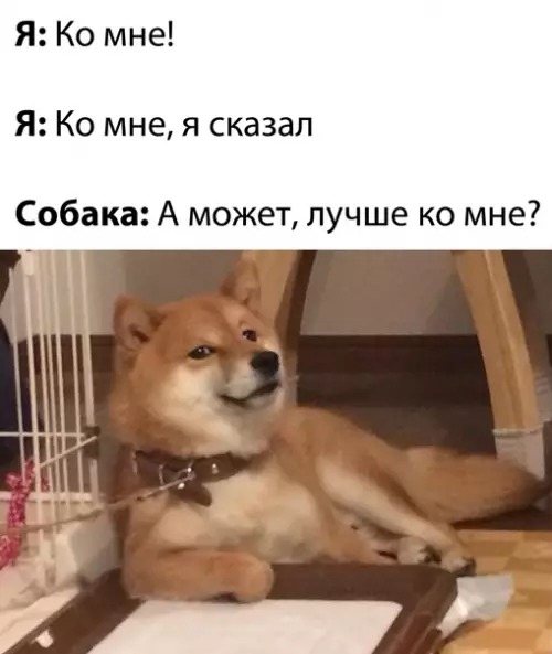 Смешная картинка №543312