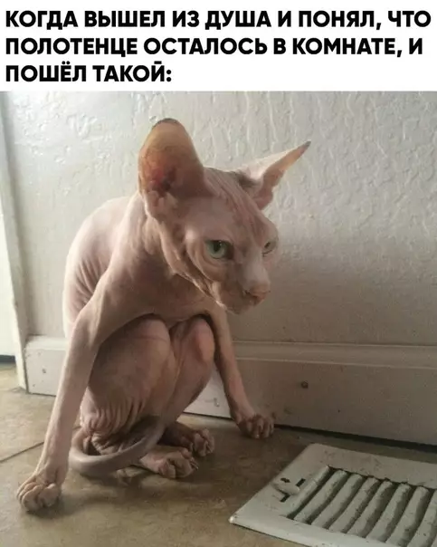 Смешная картинка №473696 Именно так я себя и ощущаю