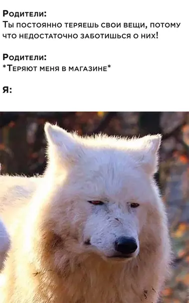 Смешная картинка №507245
