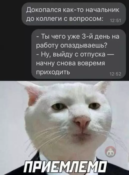 Смешная картинка №620128 Отпуск по-русски