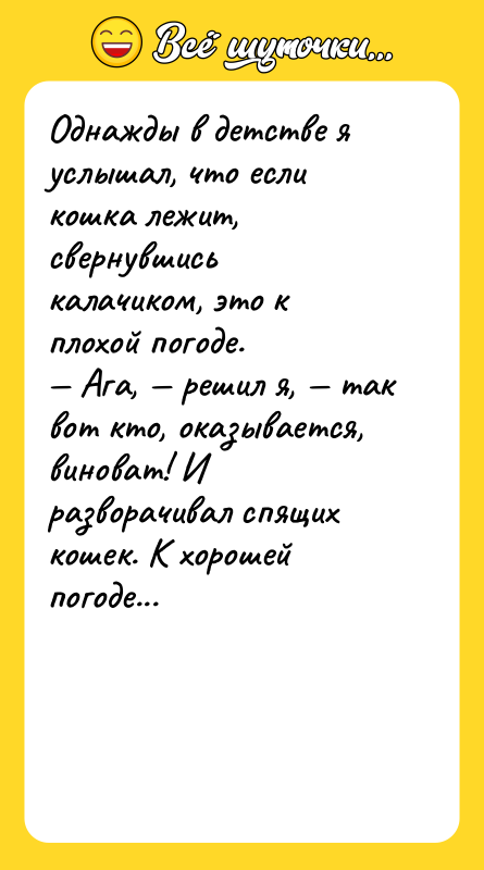 Однажды в детстве я услышал, что если кошка лежит, свернувшись
