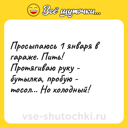 Шутка: Просыпаюсь 1 января в гараже. Пить! Протягиваю руку - бутылка, пробую - тосол... Но холодный!