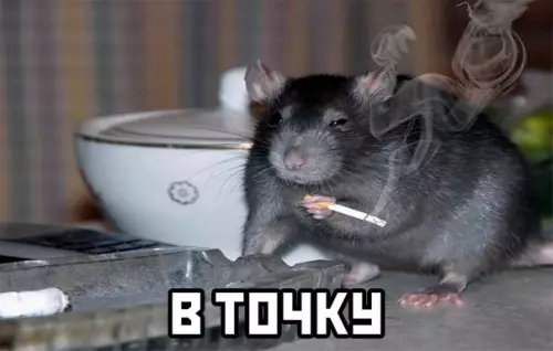 продолжение Смешная картинка №595803
