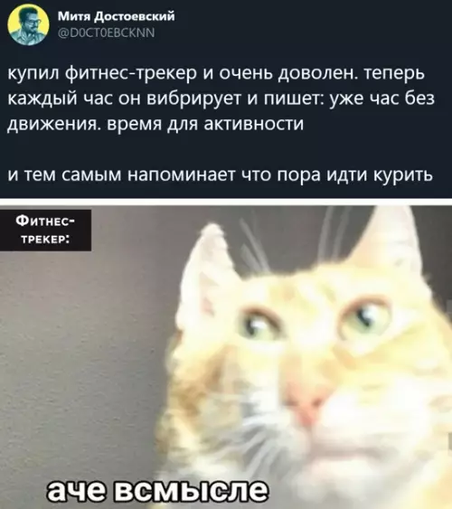 Смешная картинка №541375