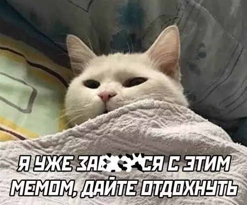 продолжение Смешная картинка №654904 мем с котом