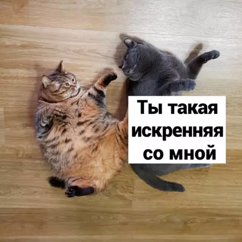 Смешная картинка №532775