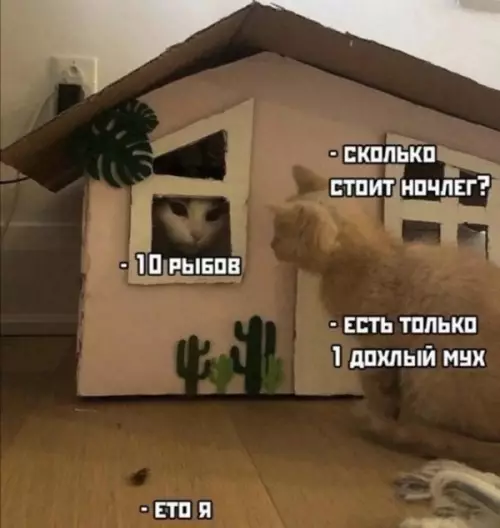 Смешная картинка №648285