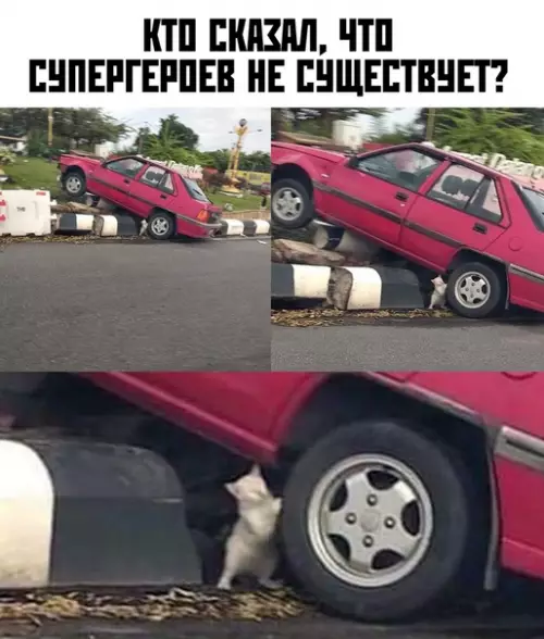 Смешная картинка №366593