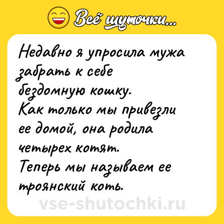 Шутка: Недавно я упросила мужа забрать к себе бездомную кошку. <br>Как только мы привезли ее домой, она родила четырех котят. <br>Теперь мы называем ее троянский коть.