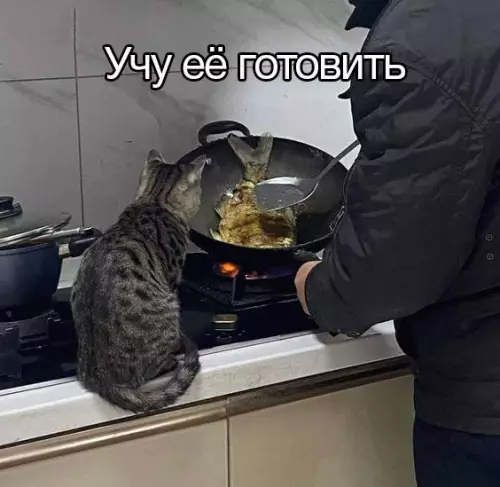 Смешная картинка №717028