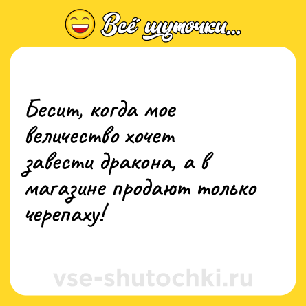 Шутка: Бесит, когда мое величество хочет завести дракона, а в магазине продают только черепаху!