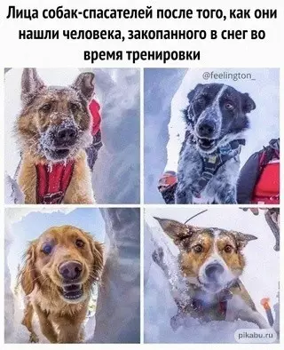 Смешная картинка №662681
