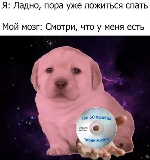 Смешная картинка №473622 и так каждую ночь