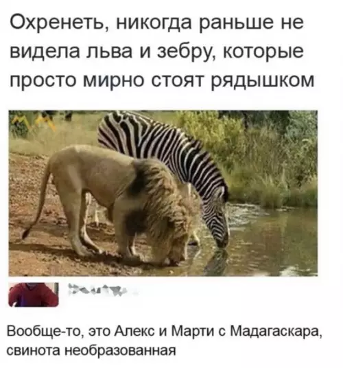 Смешная картинка №260412