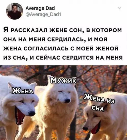 Смешная картинка №545404 жена