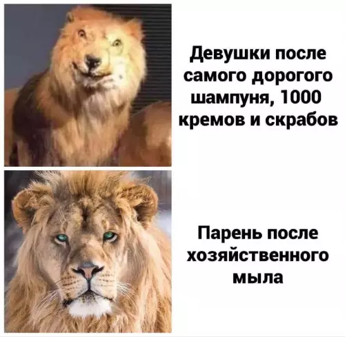 Смешная картинка №760666