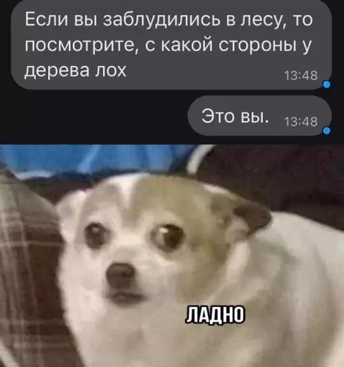 Смешная картинка №733123 Посмотрите 
