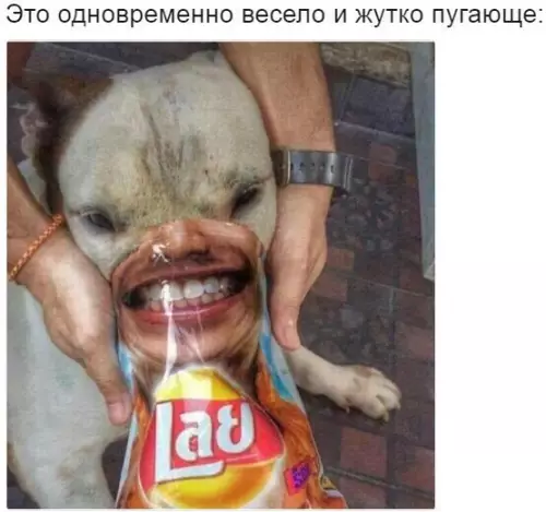 Смешная картинка №259265