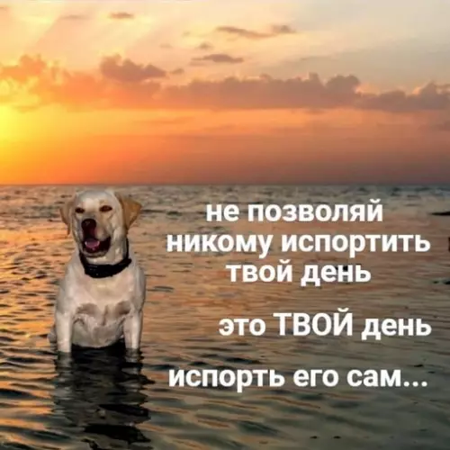 Смешная картинка №649399 Доброе утро