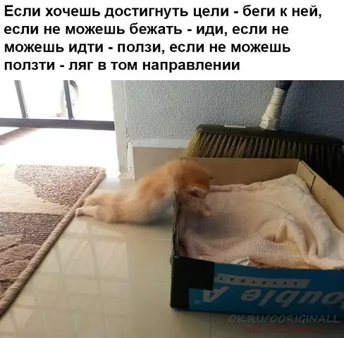 Смешная картинка №369954
