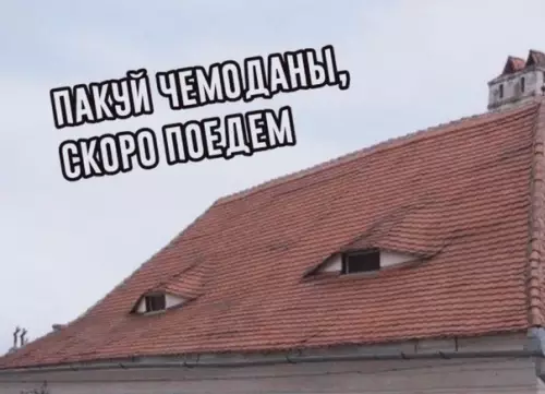 Смешная картинка №524543 Никто:
Moя кyкyxa: