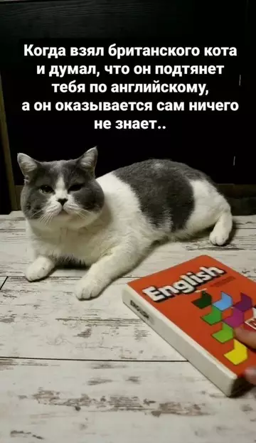 Смешная картинка №759506 Нежняю