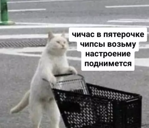 Смешная картинка №721977