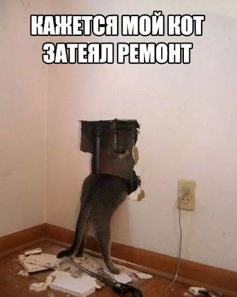 Смешная картинка №194214
