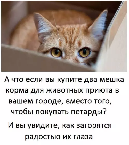 Смешная картинка №706614