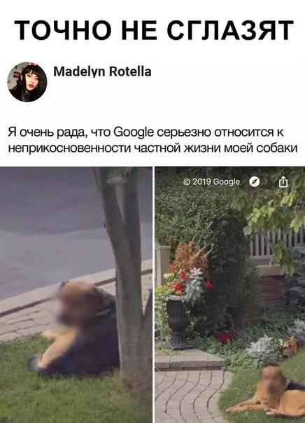 Смешная картинка №345059