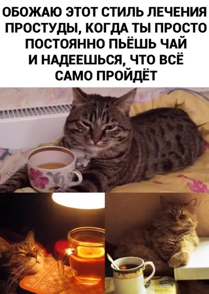 Смешная картинка №469554 Обычно все так и происходит ?