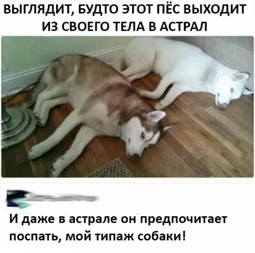 Смешная картинка №367158 Мой малый