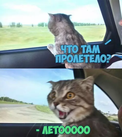 Смешная картинка №205250