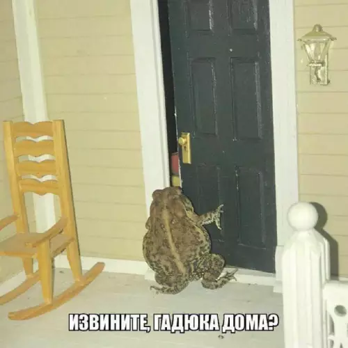 Смешная картинка №734104