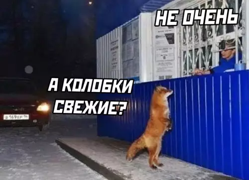 Смешная картинка №644353