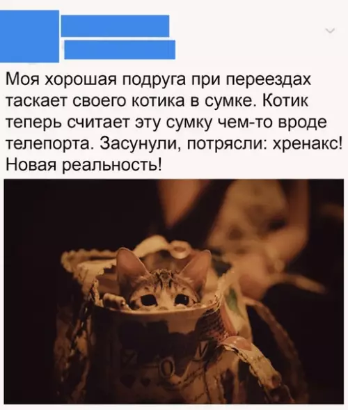 Смешная картинка №510626