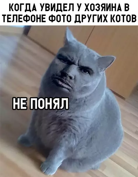 Смешная картинка №321716