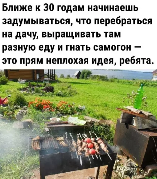 План на старость: дача, огурцы и самогон 🌿 - Ближе к 30 годам начинаешь задумываться, что перебраться на дачу,