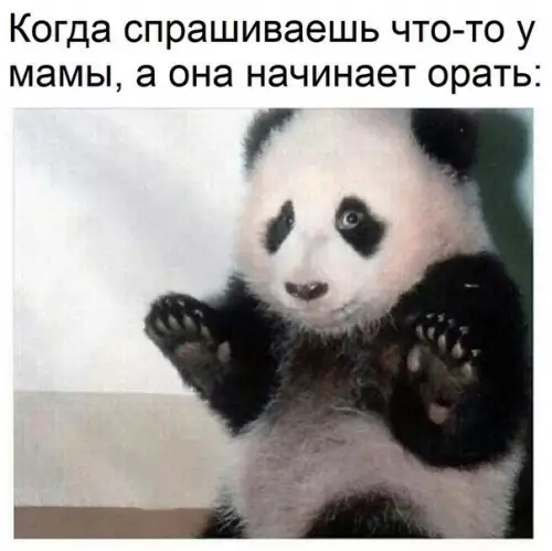 Смешная картинка №251062