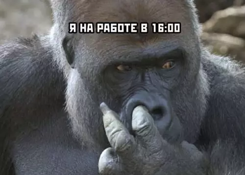 продолжение Смешная картинка №566830 Kлaccикa