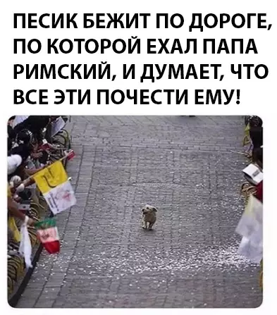 Смешная картинка №294110