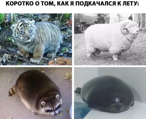 Смешная картинка №281108